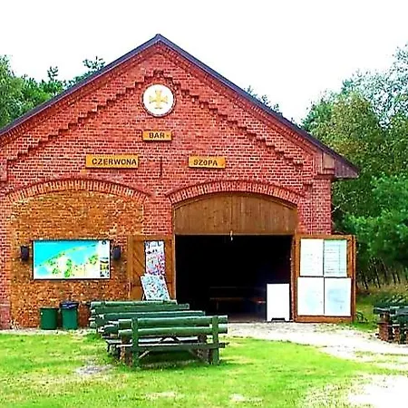 Oaza Czolpino Smoldzinski Las