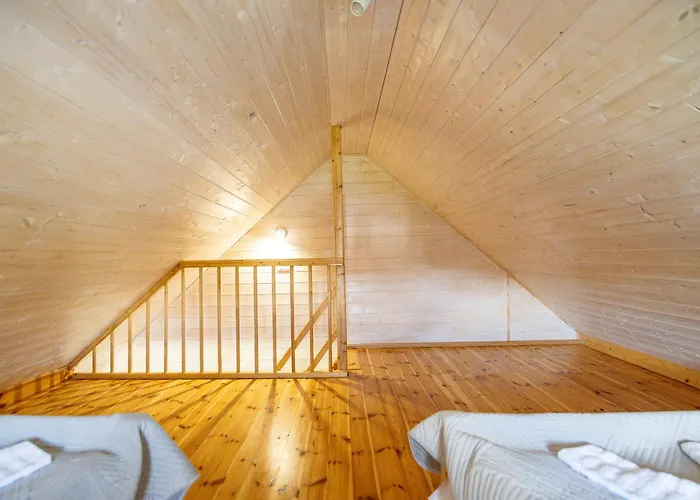 Chalet Oaza Czolpino